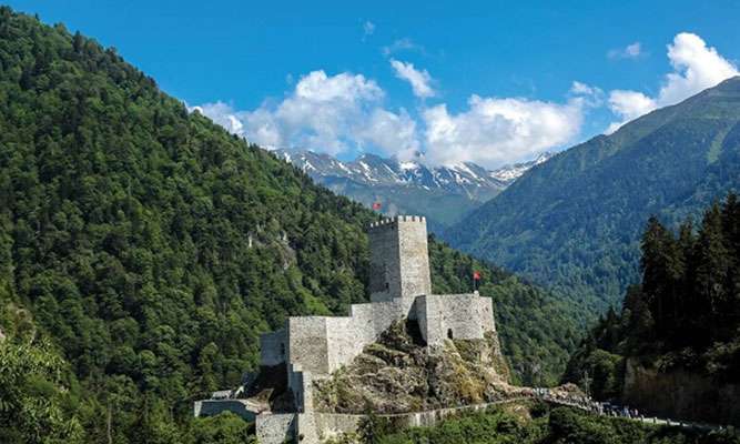 Rize